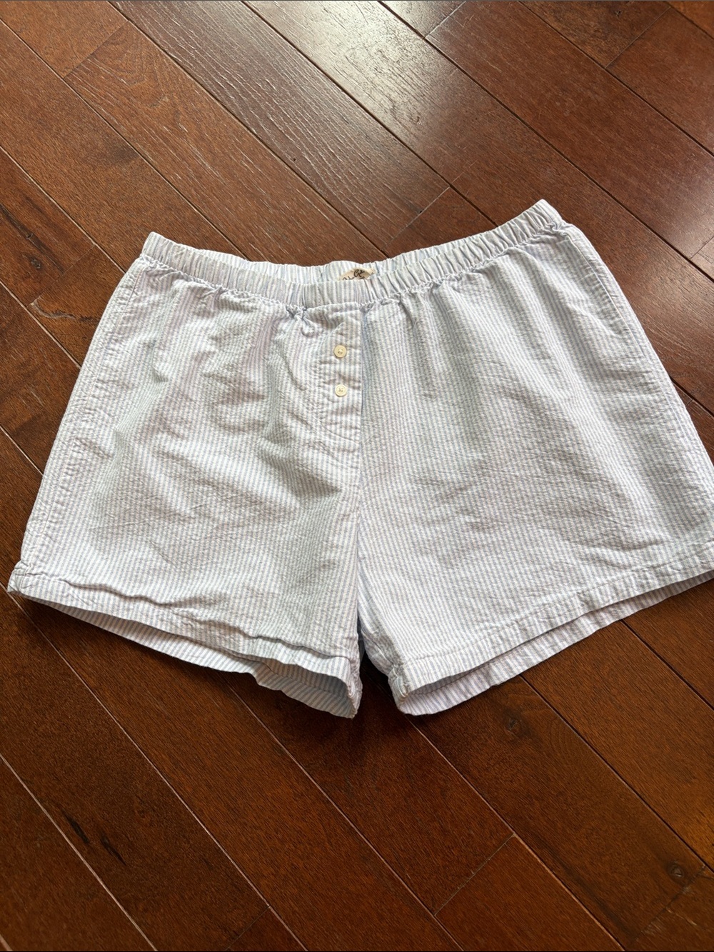 Brandy Melville Light Blue Seersucker Boxer Shorts